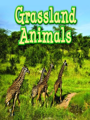 cover image of Grassland Animals